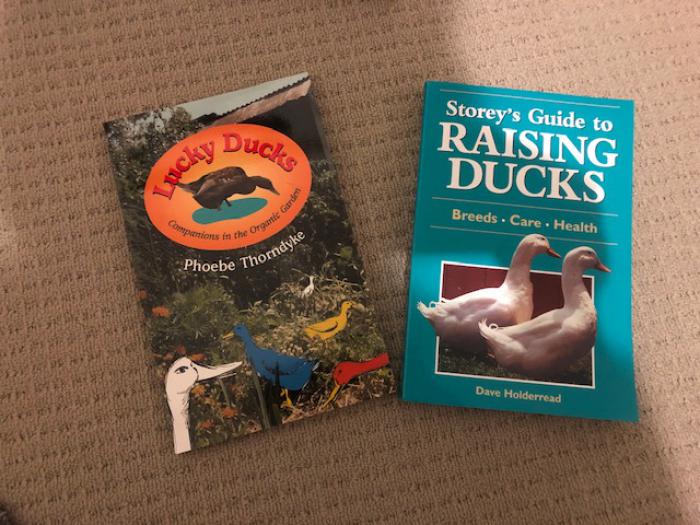 Storey Guide to raising Ducks