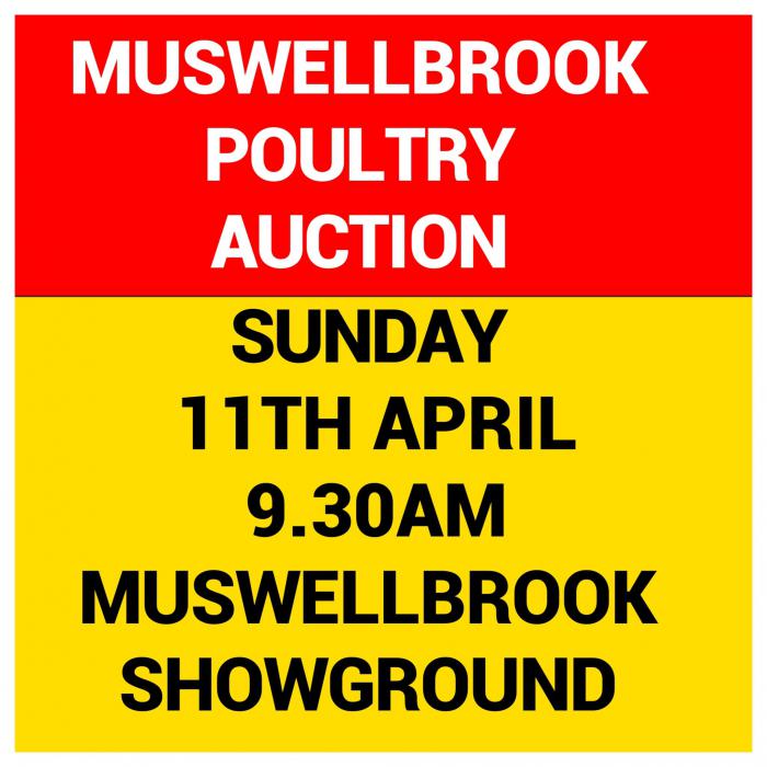 Poultry/bird/ general auction