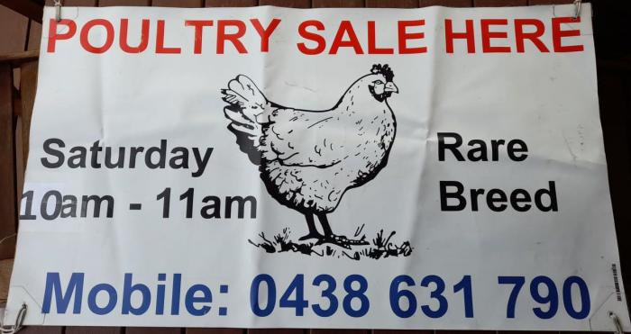 WEEKLY SATURDAY MORNING POULTRY MARKETS