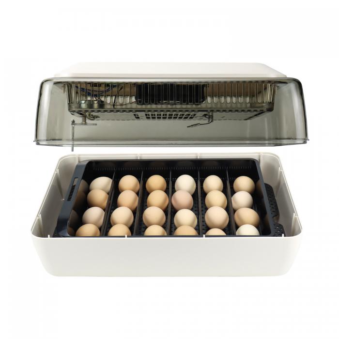 quality egg incubators for sale